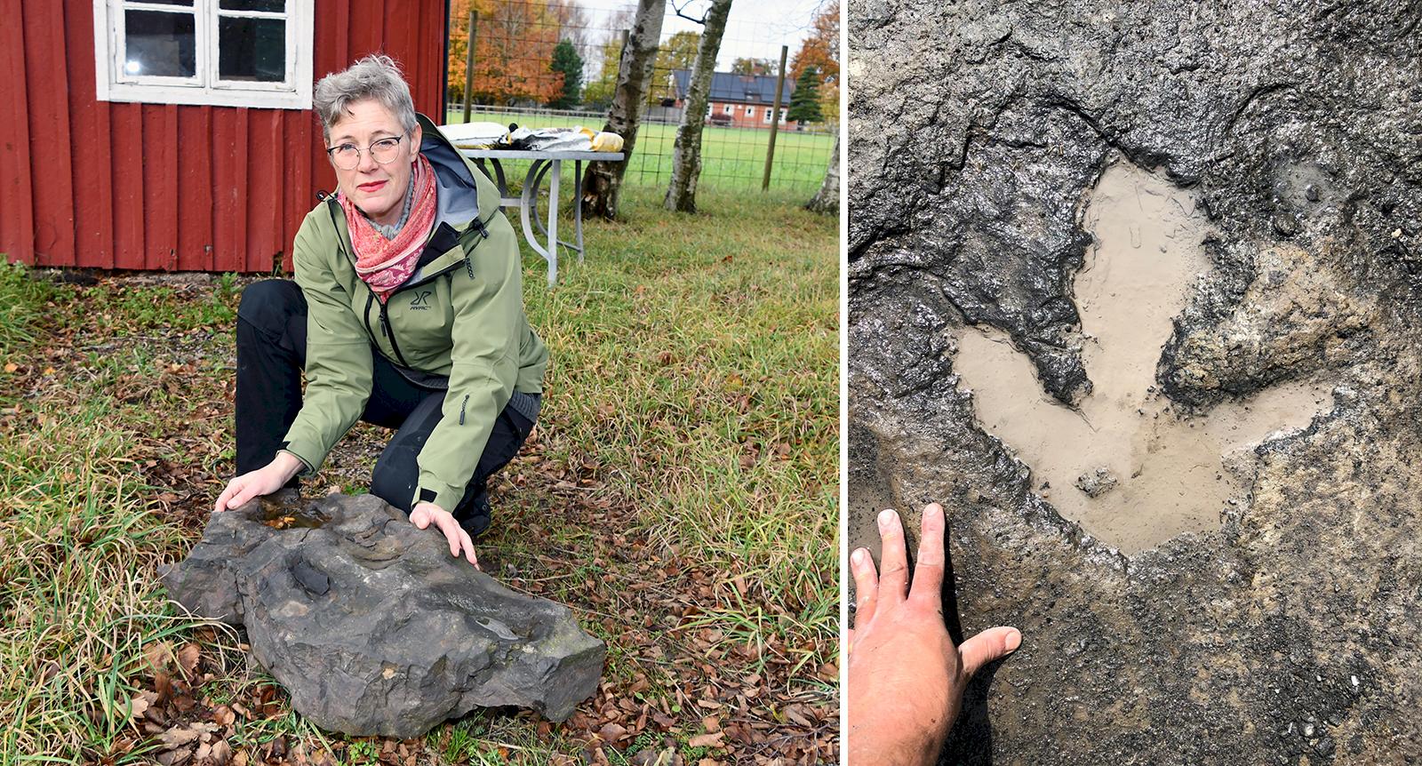 Här vandrade Skånesaurus – för 200 miljoner år sedan