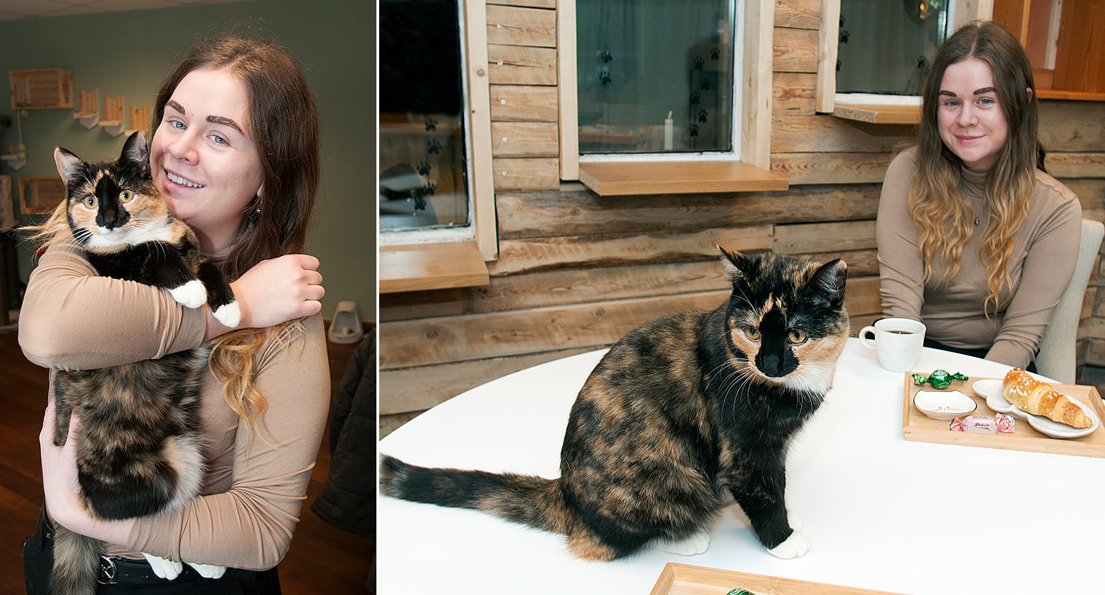 Här kan du både fika och adoptera en katt: ”Ibland är det kärlek vid första ögonkastet”