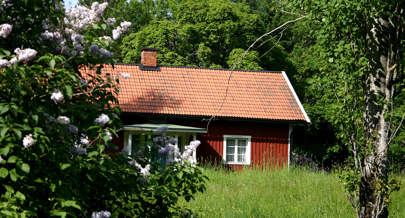 Jag vill inte ha familjens fritidshus – kan jag neka mitt arv?