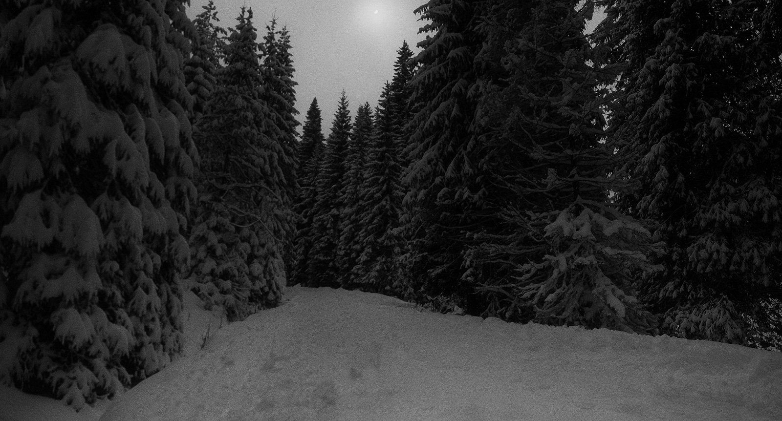 Stenbergsmordet 1915: Mördaren lämnade Elin att dö i snön – mordplatsen hedras än idag