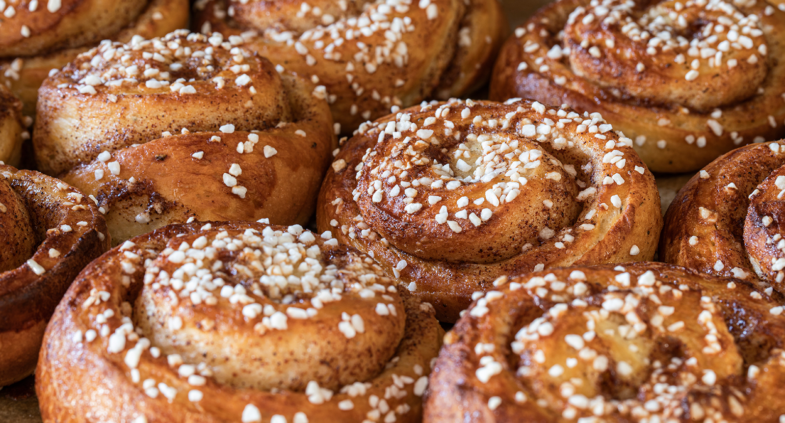 Kanelbullens dag firar 25 år – det här visste du inte om årets mest väldoftande dag