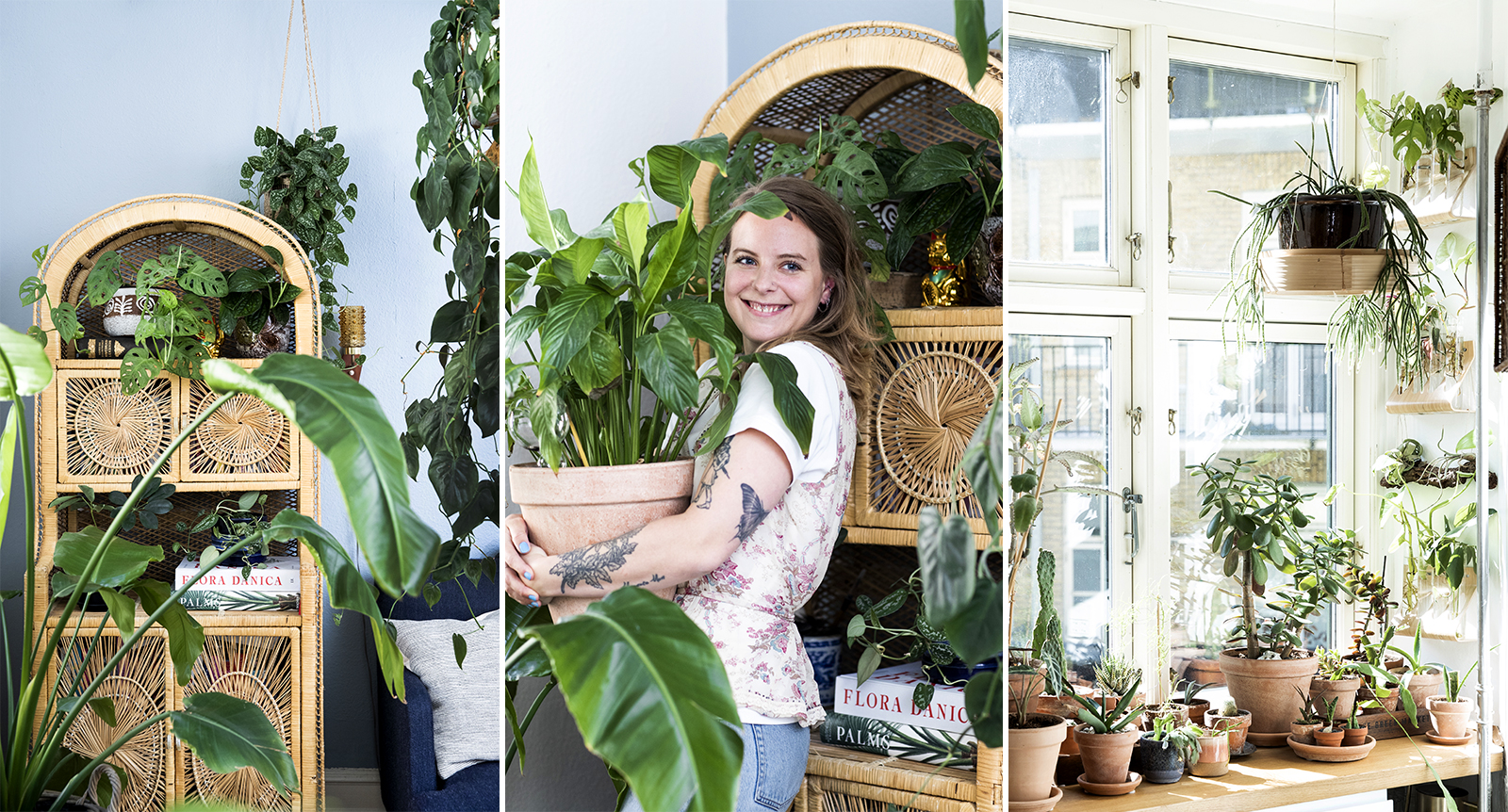 Louise har över 100 krukväxter i sin tvårummare – planterar om i flera dagar