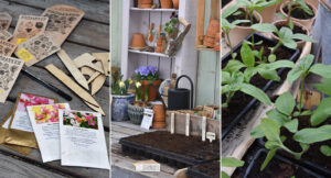Kallså blommor och grönsaker: Enkla steg till en lyckad skörd