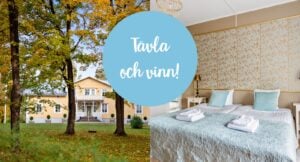 Sommarquiz: Vart är vi på väg?