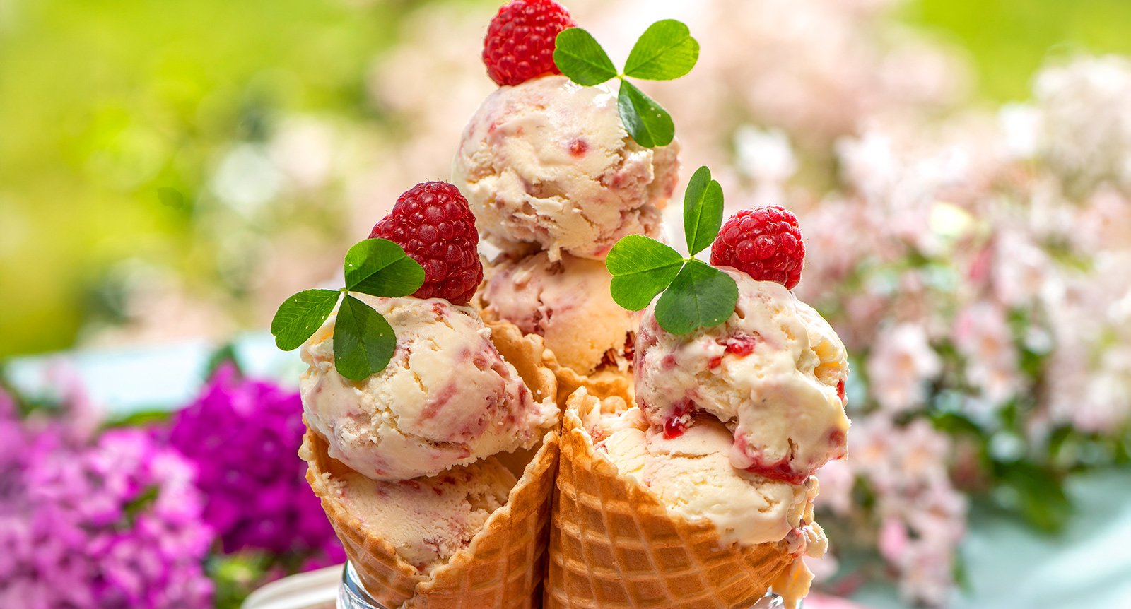 Semifreddo vit choklad och hallon