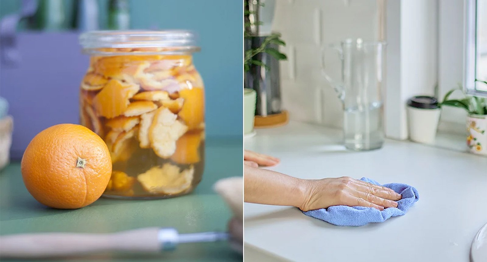 Så gör du ditt eget allrengöringsmedel – med ättika och citrusskal
