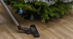 Därför ska du inte dammsuga upp granbarren