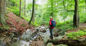 Guide: Promenaderna med extra hälsofördelar