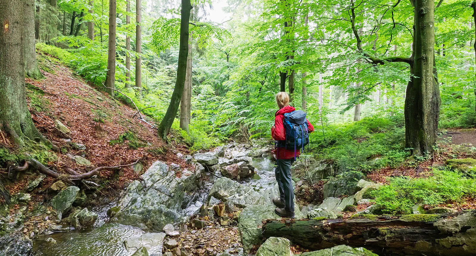 Guide: Promenaderna med extra hälsofördelar