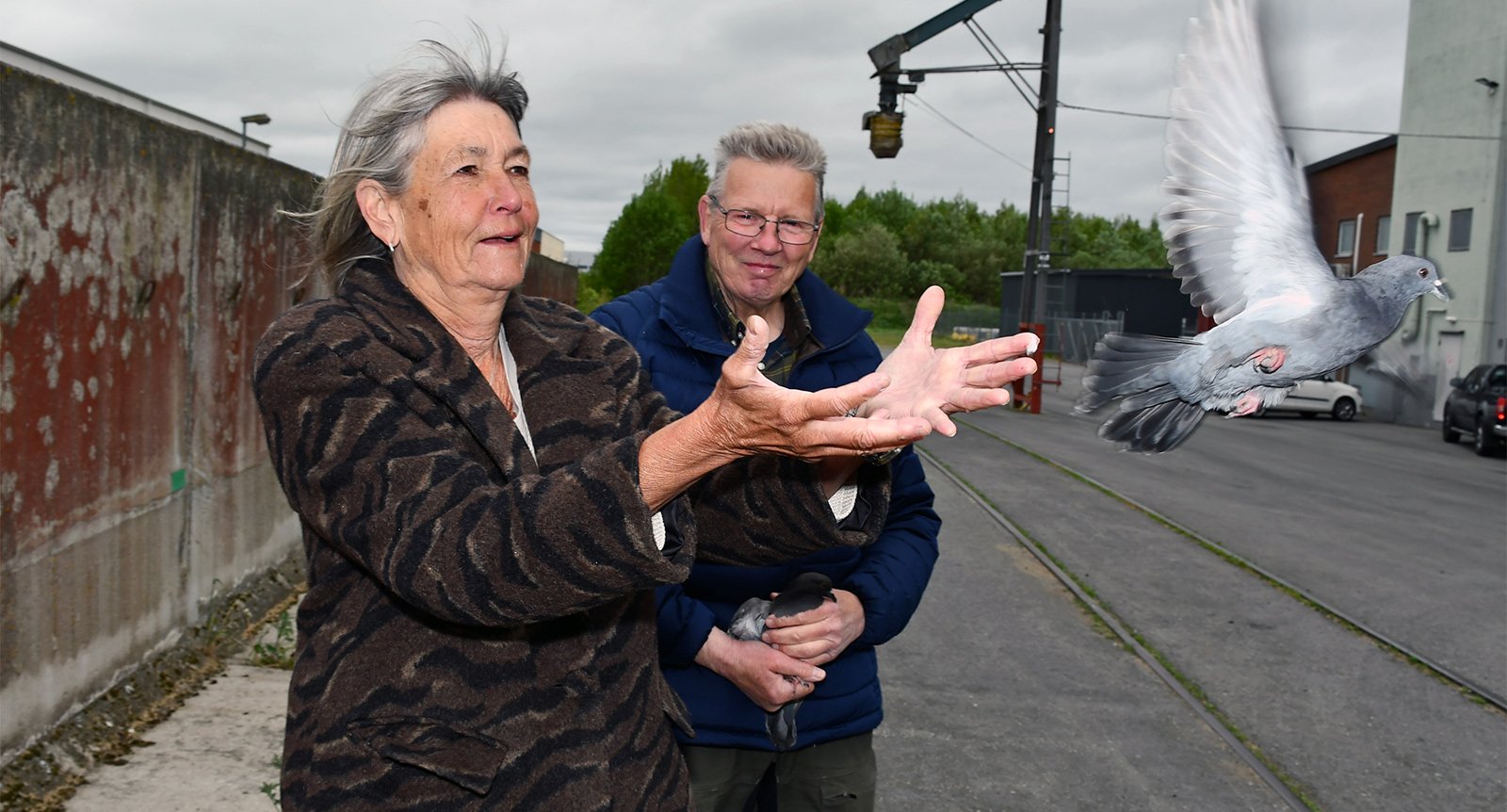 Cecilia fick hjälpa till att rehabilitera fåglar: ”Tur att det finns människor som vill ta hand om skadade djur”