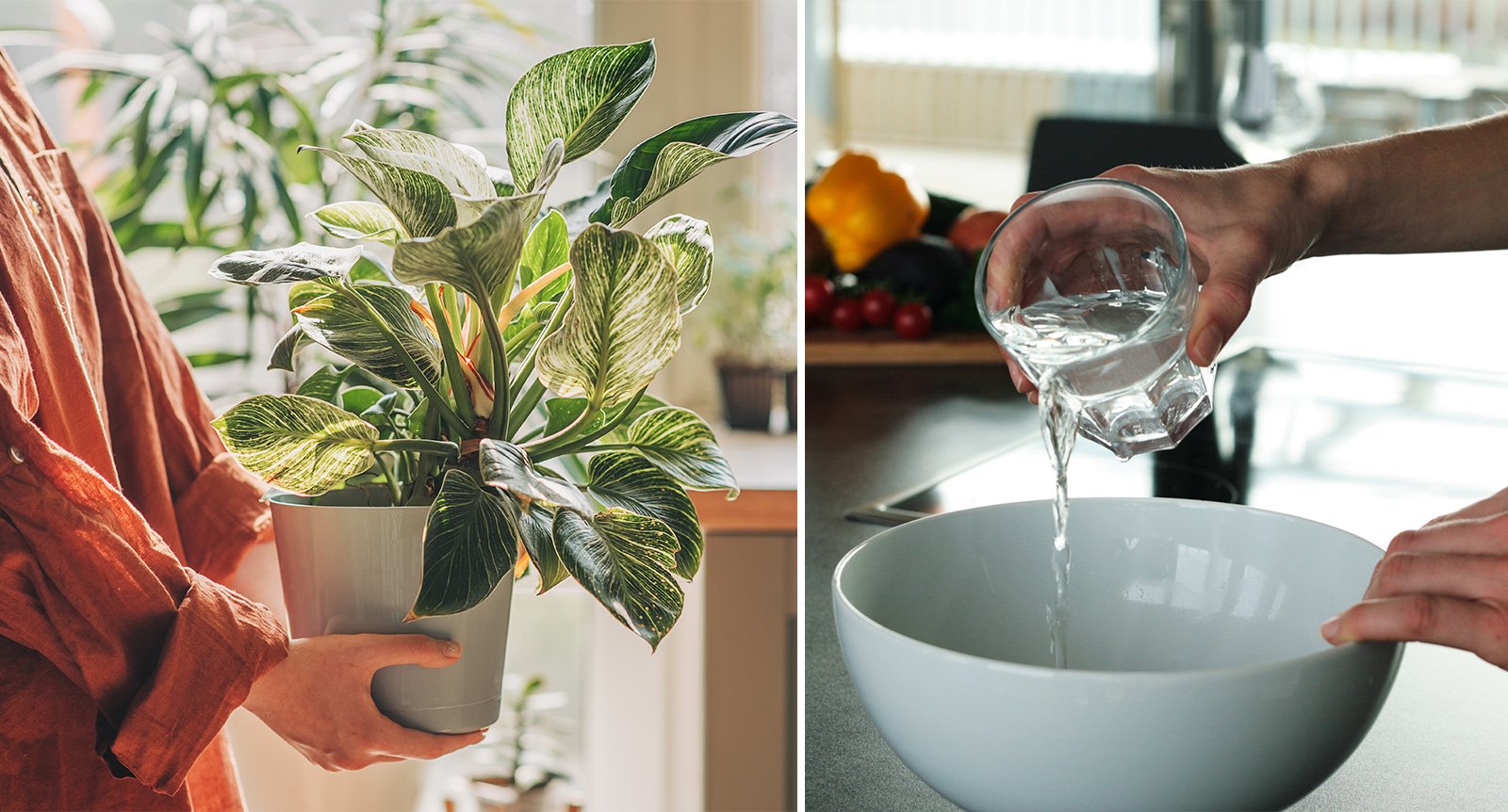 Torr luft inomhus? Här är 4 smarta knep att prova!