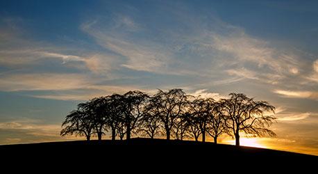 Foto: Istock.