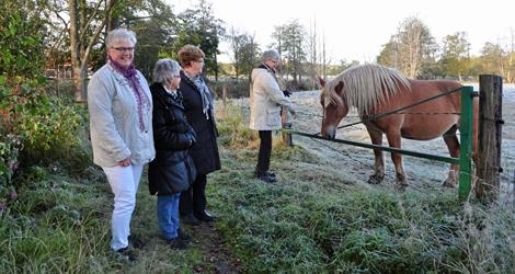 Ppå Vrigstagården i Småland får anhöriga en chans att vila upp sig. En promenad före frukost är en härlig lyx, speciellt när man får nya vänner på köpet. Fr v Ann-Marie Wallentin, Ingegerd Holmgren, Kerstin Eriksson (volontär för kommunerna) och Sigbritt Bodin. Foto: Anna Persson