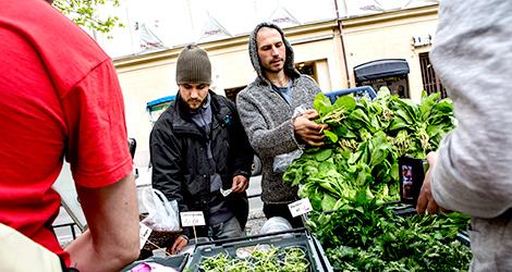 Otypisk verksamhet – lokala bondemarknader utgör en mikroskopisk del av livsmedelshandeln i Sverige. Foto: TT