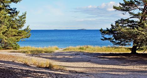 Vackra stränder och orörd natur på Nåttarö i Stockholms skärgård. Foto: Ucke Matsson