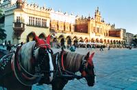 Torget i Krakow.