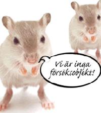 Foto: Djurens rätt