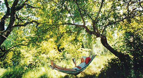 Hitta vilan i sommar! Foto: Jan Håkan Dahlström/Scanpix