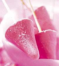 Hallon-yoghurtglass
