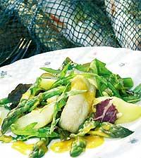 Sallad på halstrad abborre
