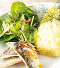 Stekt makrill med spenatsallad