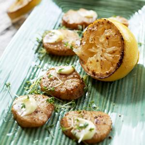 Pilgrimsmusslor med tryffelmajonnäs