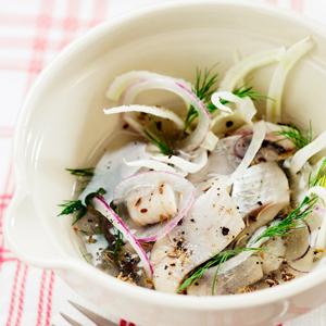 Spritsill med fänkål