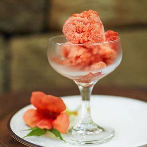Tomatgranita med balsamvinäger