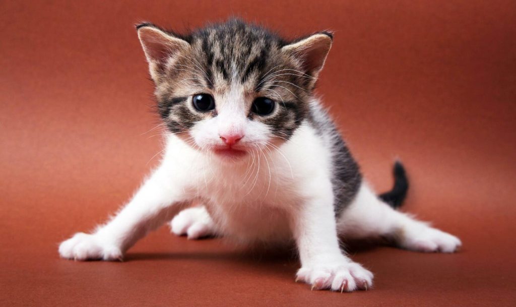 Foto: iStockphoto
