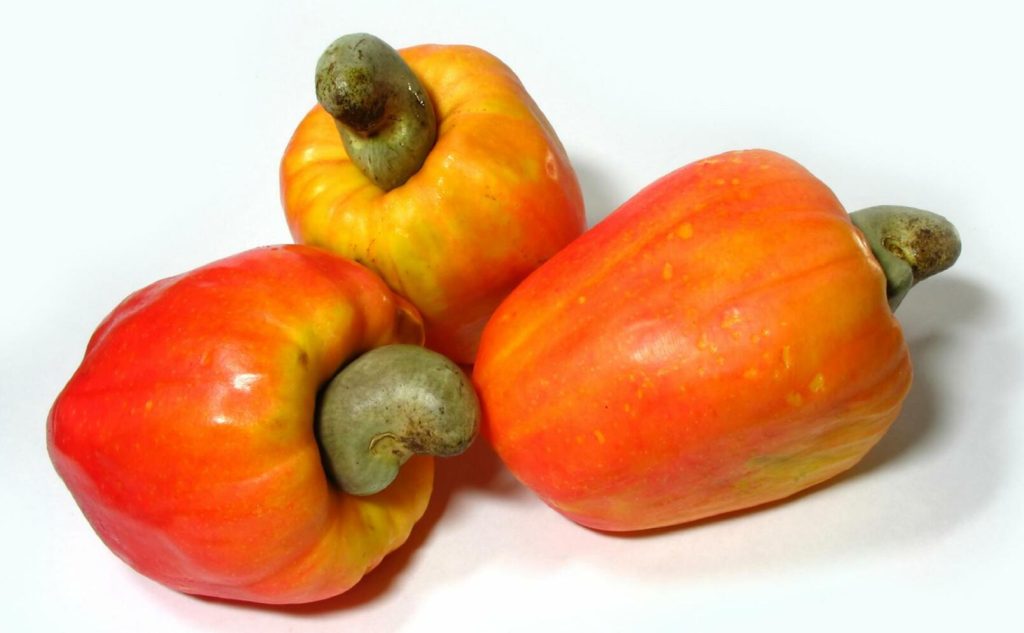 Cashewäpplen Foto: iStock