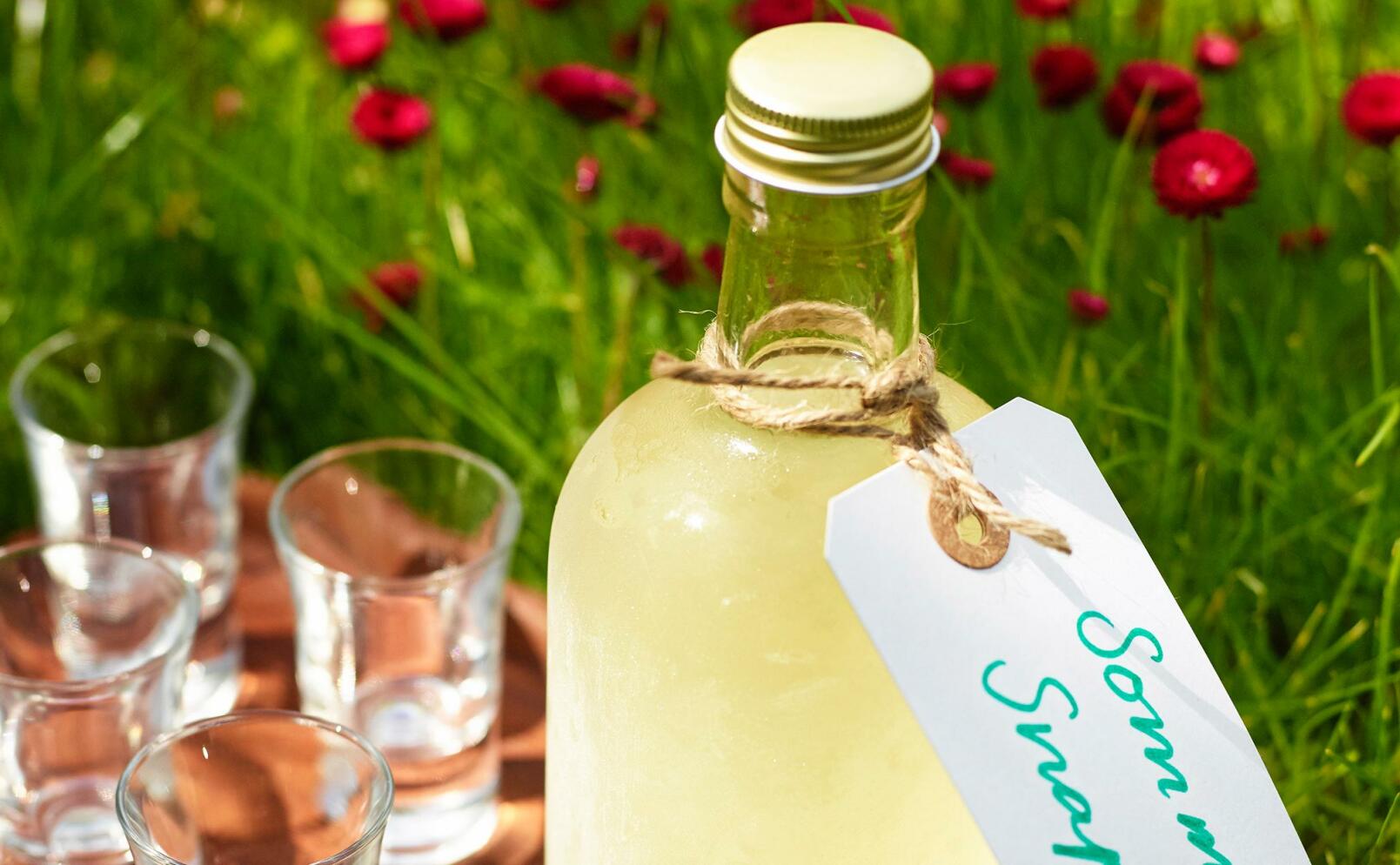 Sommarsnaps med citronmeliss