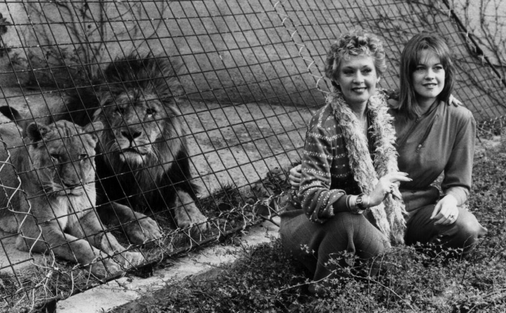 Tippi Hedren & Melanie Griffith Foto: Getty