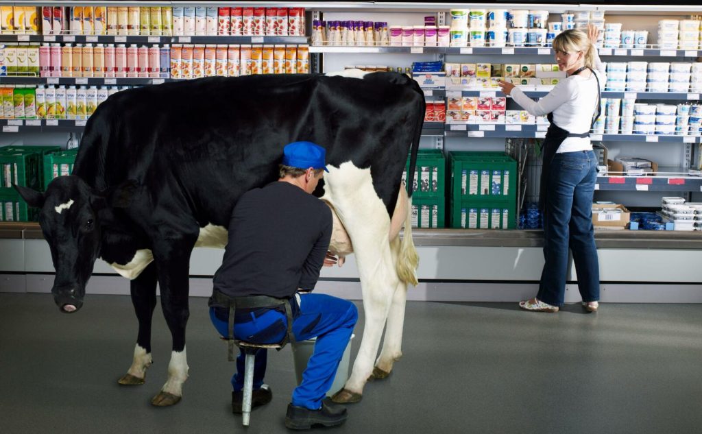 Riktigt så här lokal är inte Värmlandsmjölken, men nästan Foto: Getty