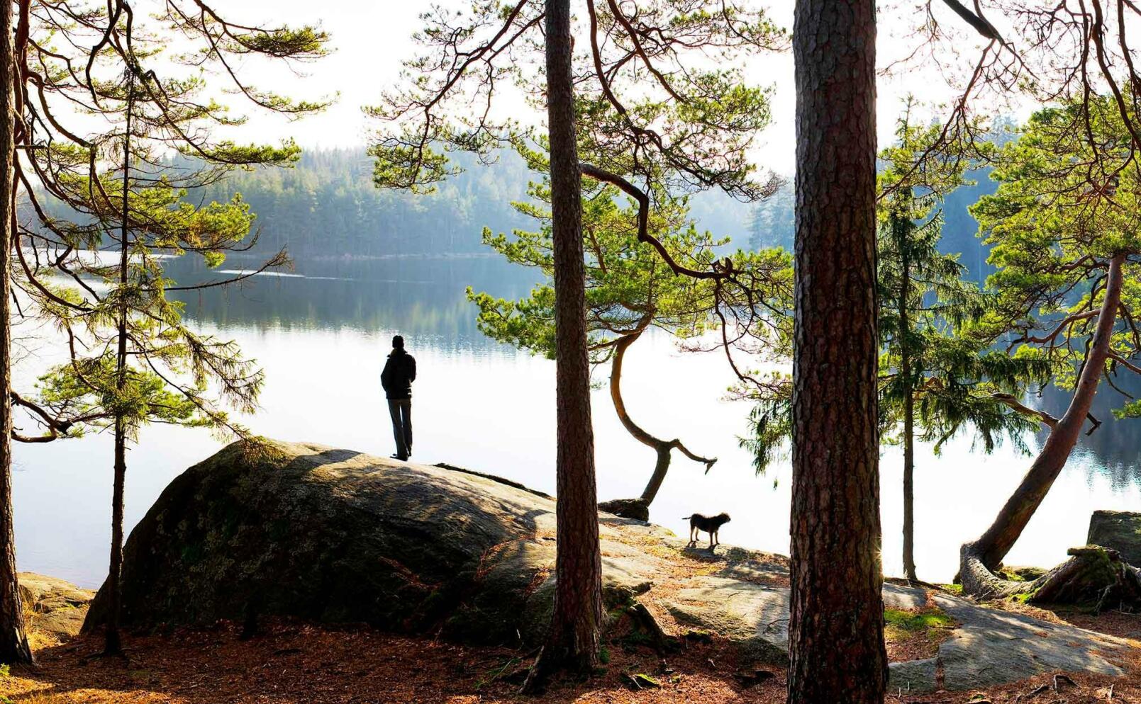 Därför är naturen så bra mot stress