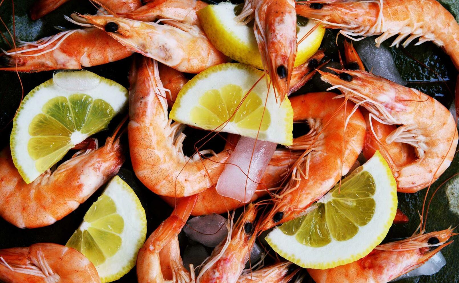 Fem recept för dig som älskar räkor