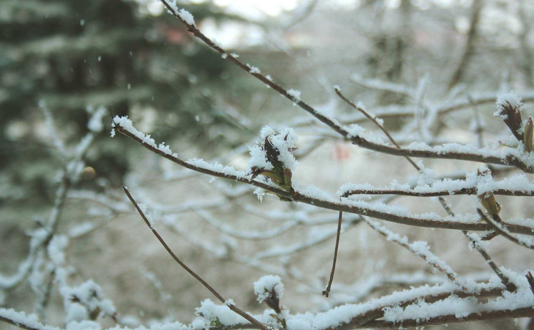 Nu kommer snön och vintervädret