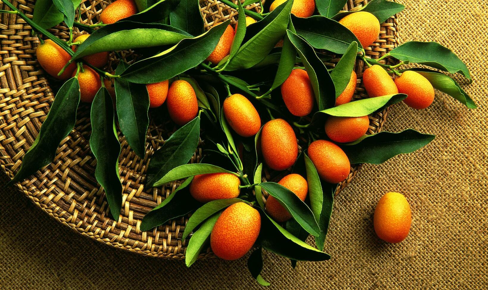 7 exotiska superfrukter att mumsa på i vinter