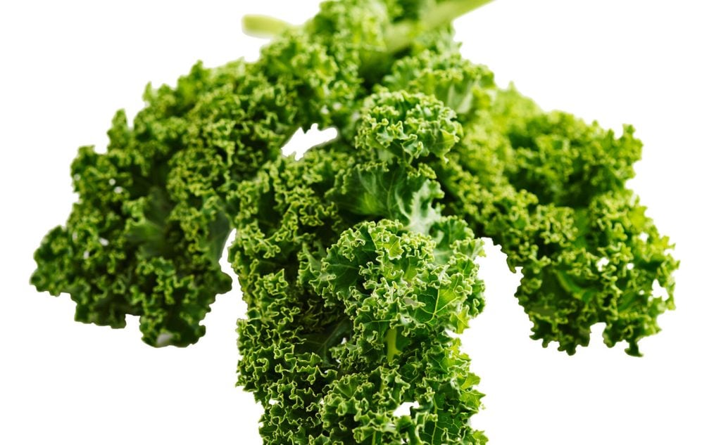 Grönkål Foto: Istock