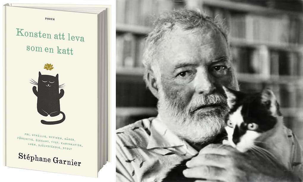 Ernest Hemingway med en av sina många och högt älskade katter.