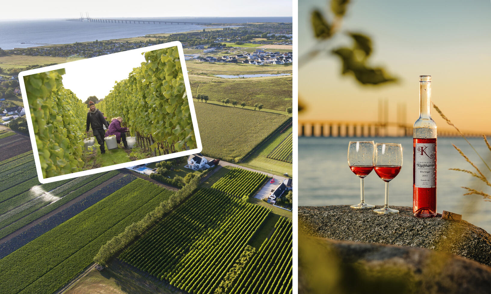 Skördefest på vingårdarna – vi listar 9 utflyktsmål!