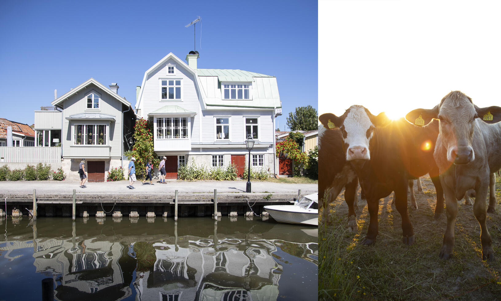 Stor guide: sköna höstdagar i vackra Sörmland