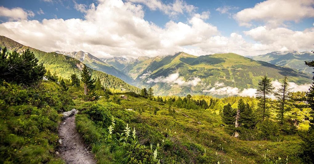 Vi erbjuder två olika typer av vandringar, Alpin vandring och Nordic Walking. Välj den som passar dig bäst! Foto: Shutterstock