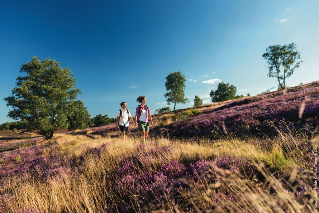 Vackra Lüneburger Heide. FOTO: Lüneburger Heide GmbH/ Dominik Ketz