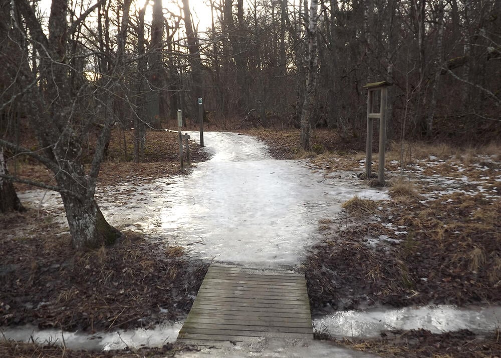 Plötsligt är din vanliga promenadväg helt täckt med is. Hur ska du göra för att slippa halka och kanske göra dig illa?