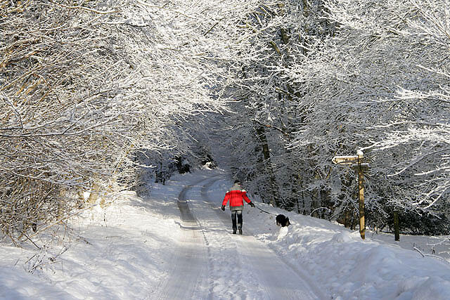 Ta en promenad i härligt vinterväder, eller dammsug dig svettig. Vardagsmotion behöver inte vara krångligt.