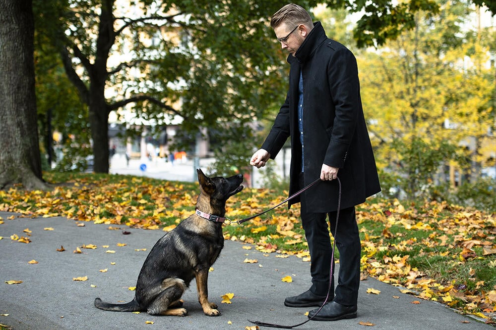 Fredrik Backman med hunden Yumi.