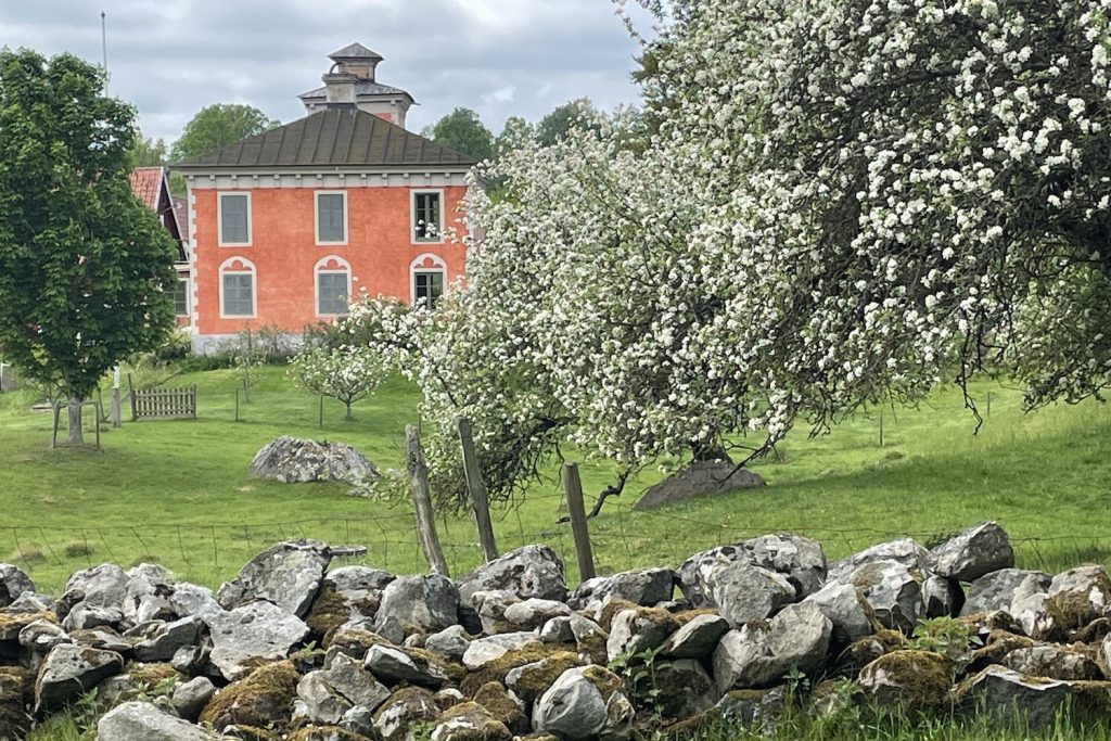 Ta en fika i en vacker miljö vid Harastorps Kafé & Gårdsbutik. FOTO: Zara Broström