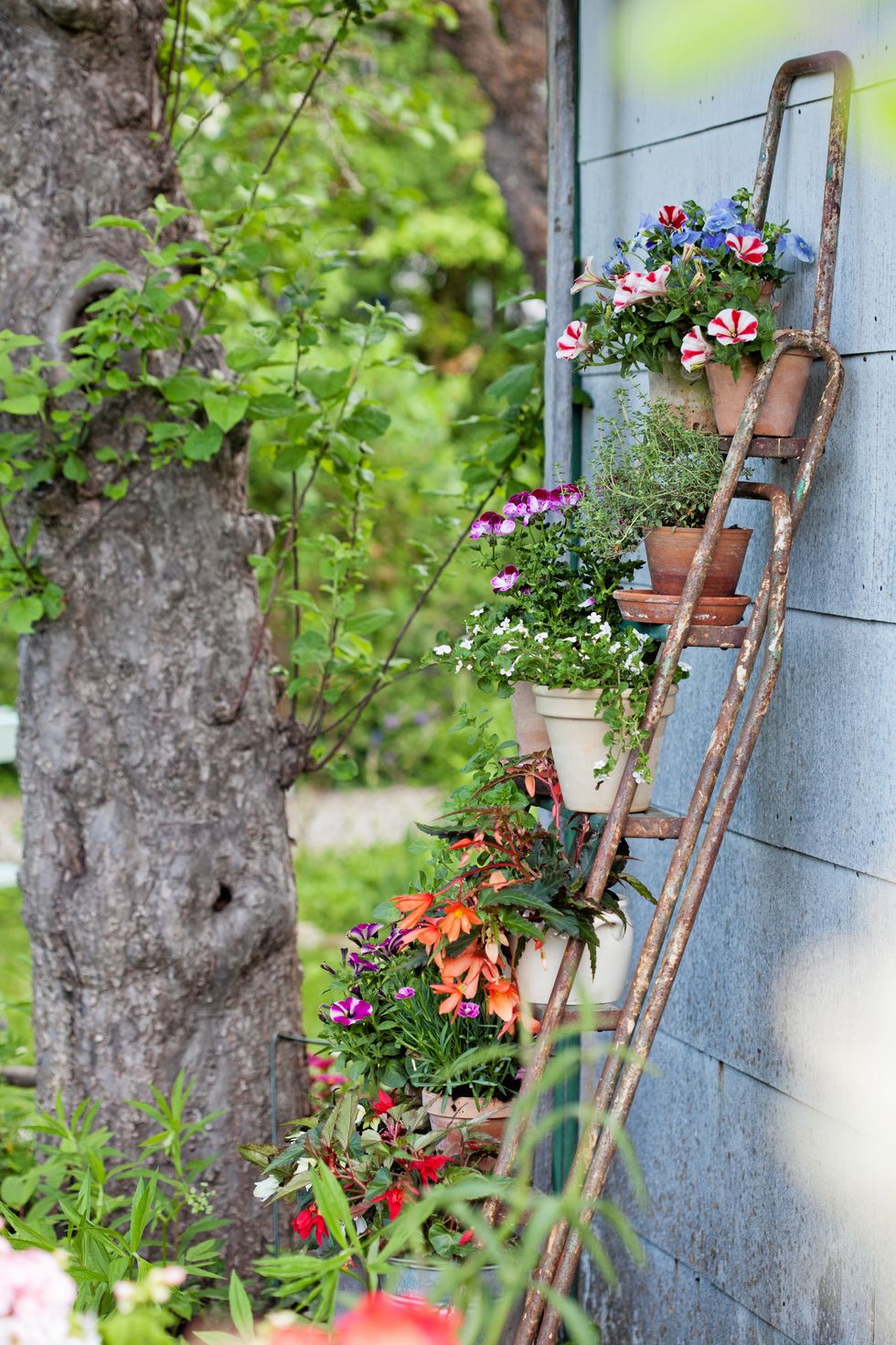 15 snabba tips på hur du skapar sommarstämning i stugan