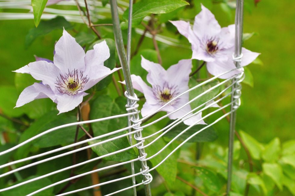 Gör det själv: Torn för blommorna