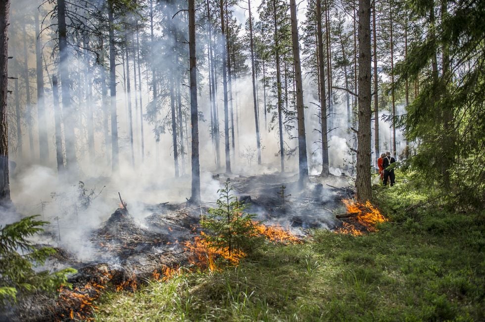 Branden i Västmanland: 